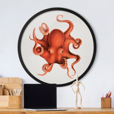 Quadros com moldura Vintage Illustration Red Octopus