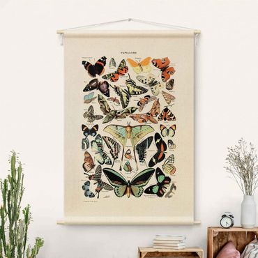 Tapeçaria de parede Vintage Teaching Illustration Butterflies