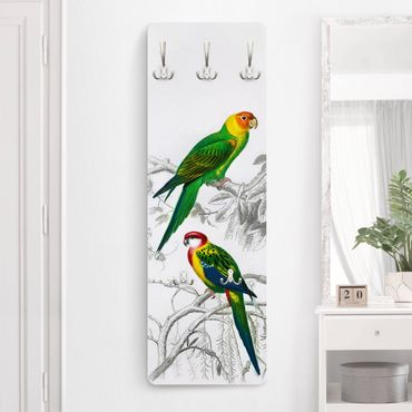 Cabides de parede Vintage Wall Chart Two Parrots Green Red