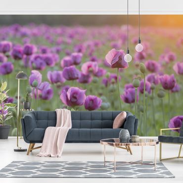 Mural de parede Purple Poppy Flower Meadow In Spring