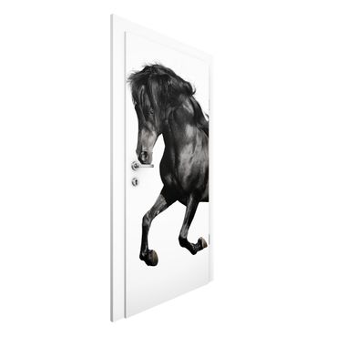 Papel de parede para porta Arabian Stallion