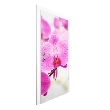Papel de parede para porta Close-Up Orchid