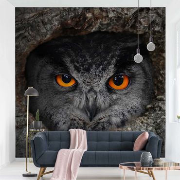 Mural de parede Watching Owl