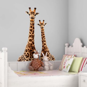 Autocolantes de parede Portrait of two giraffes