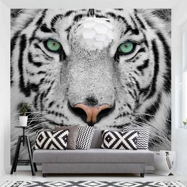 Mural de parede White Tiger