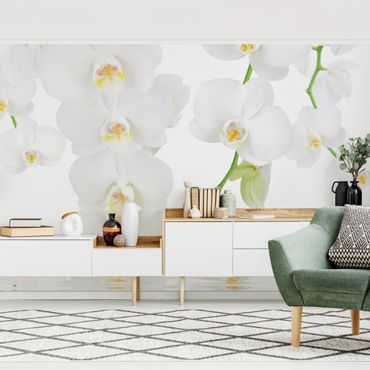Mural de parede Spa Orchid - White Orchid