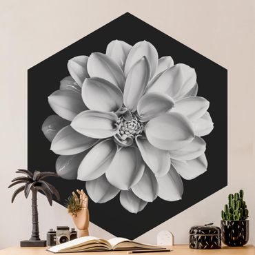 Papel de parede hexagonal Delicate Dahlia In Black And White