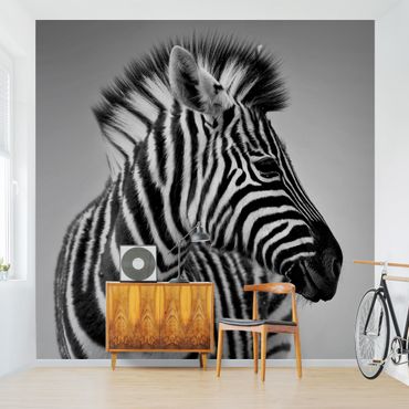 Mural de parede Zebra Baby Portrait II