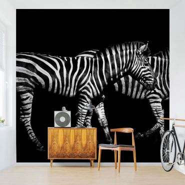 Mural de parede Zebra In The Dark
