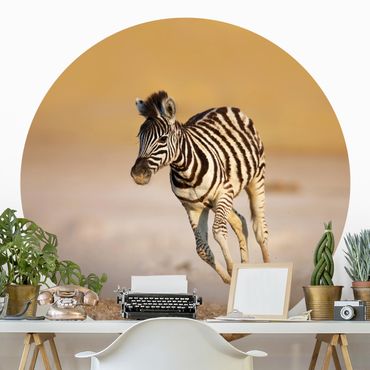 Papel de parede redondo Zebra Foal