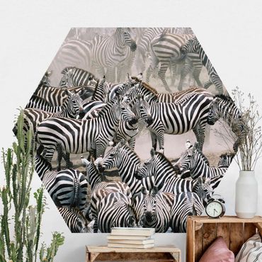 Papel de parede hexagonal Zebra Herd