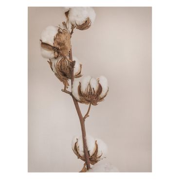 Telas decorativas Fragile Cotton Twig