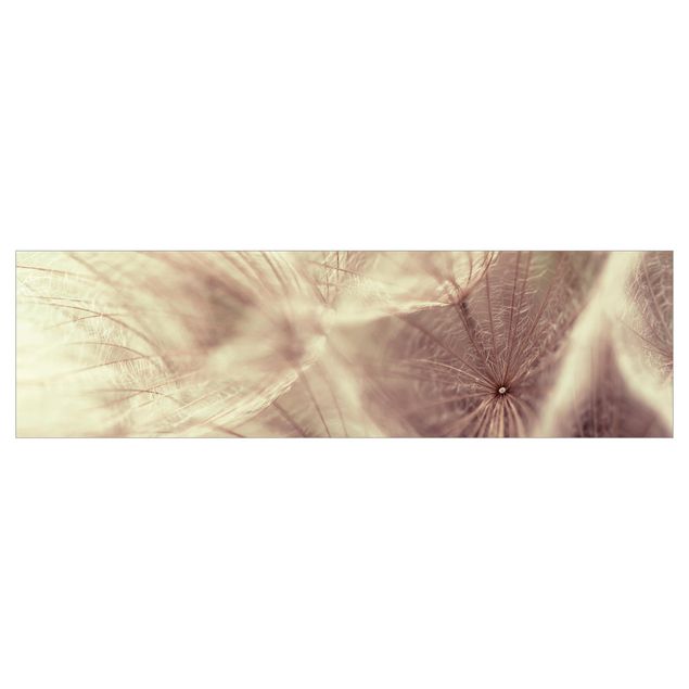 Backsplash de cozinha Detailed Dandelion Macro Shot With Vintage Blur Effect