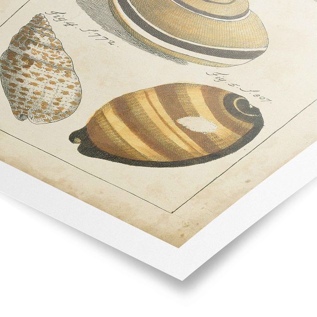 Posters vintage Vintage Worm Drawing Yellow