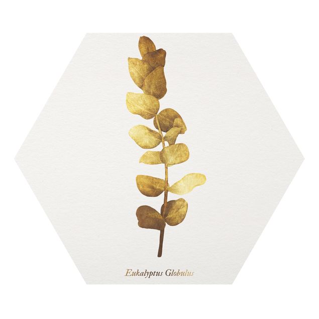 Quadros forex Gold - Eucalyptus