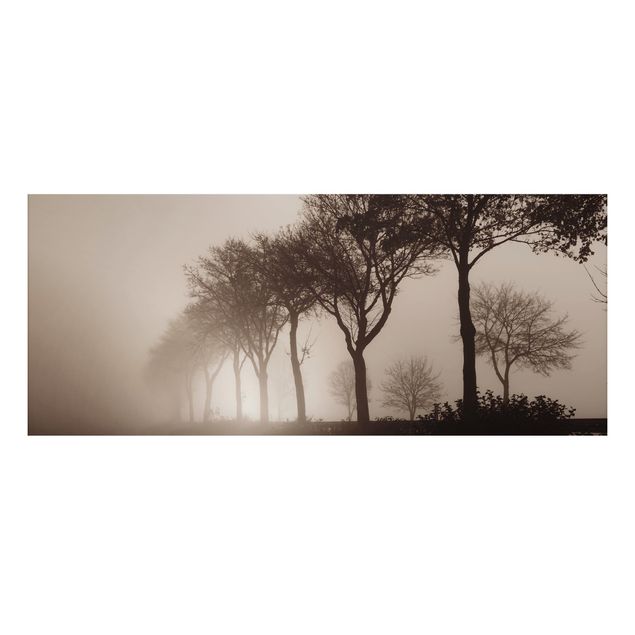 Quadros árvores Tree Avanue In Morning Mist