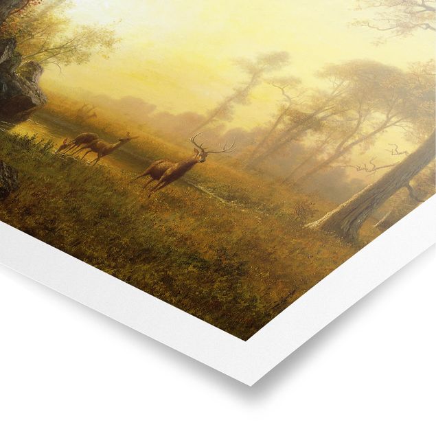 quadro com paisagens Albert Bierstadt - Light in the Forest