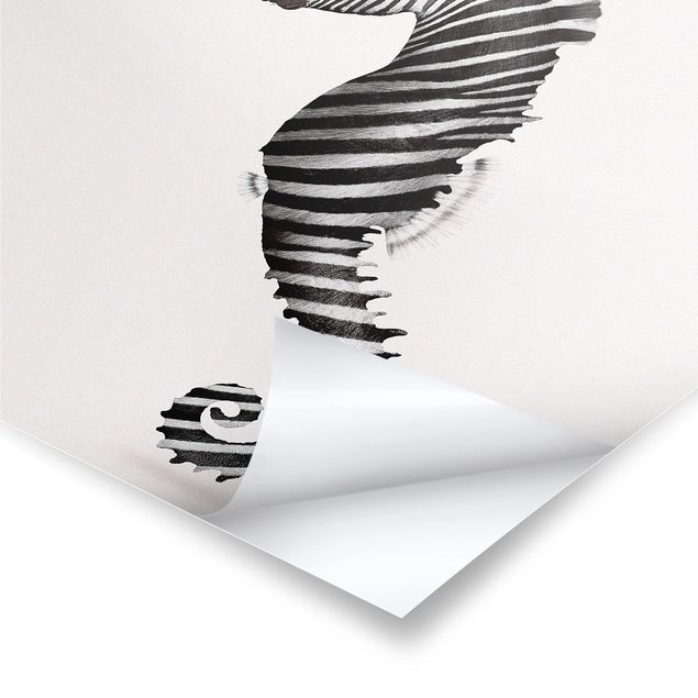 Posters quadros famosos Seahorse With Zebra Stripes