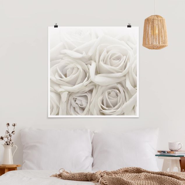 Posters flores White Roses