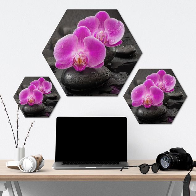 Quadros hexagonais Pink Orchid Flower On Stones With Drops