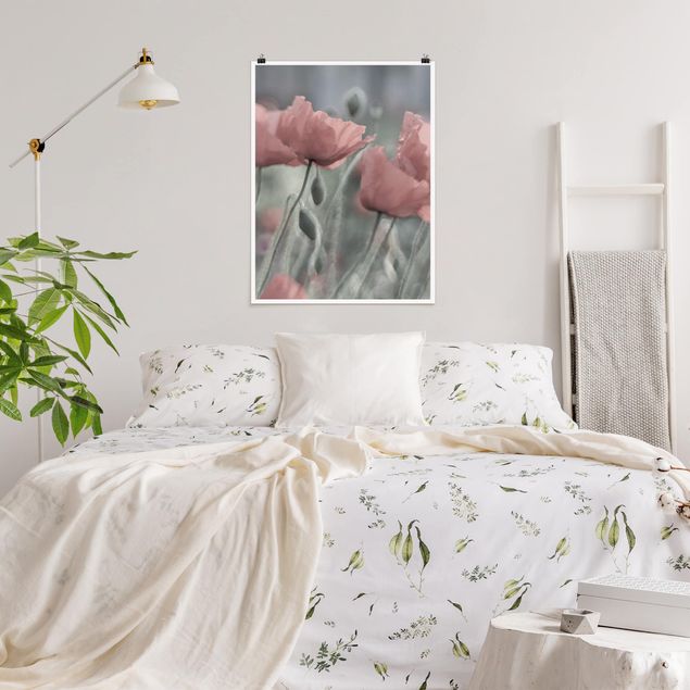 Posters flores Picturesque Poppy