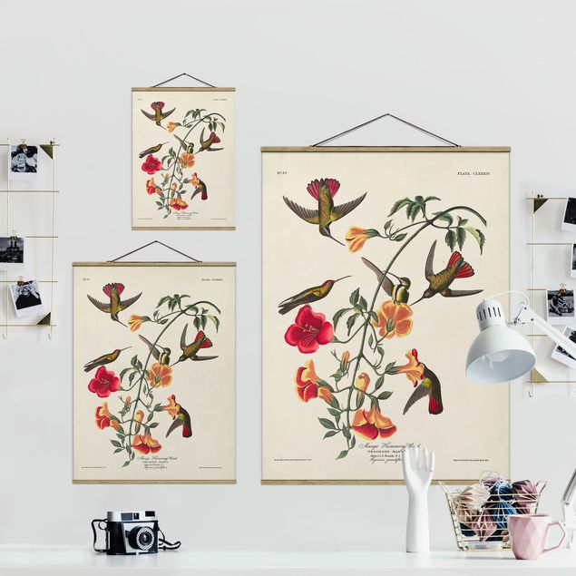 quadro com tecido Vintage Board Mango Hummingbirds