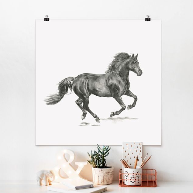 quadro de cavalo Wild Horse Trial - Stallion