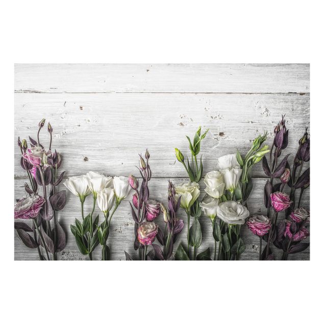 Painel antisalpicos Tulip Rose Shabby Wood Look