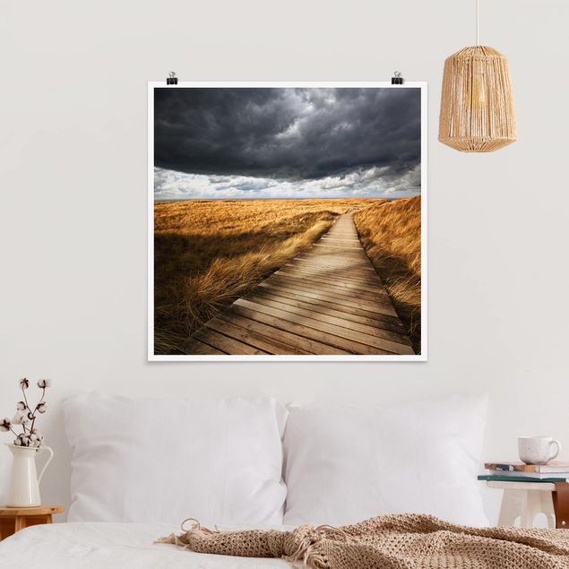 quadro com paisagens Path Between Dunes