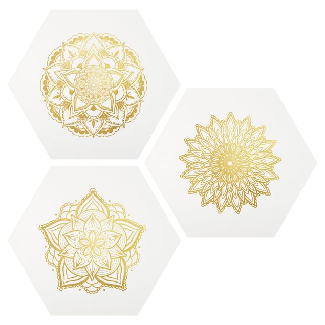 Quadros zen Mandala Flower Sun Illustration Set Gold