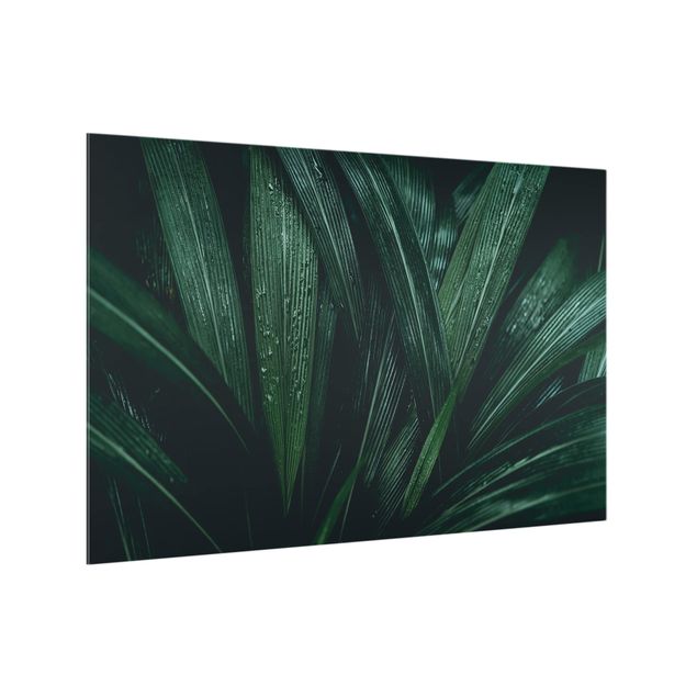 painéis antisalpicos Green Palm Leaves