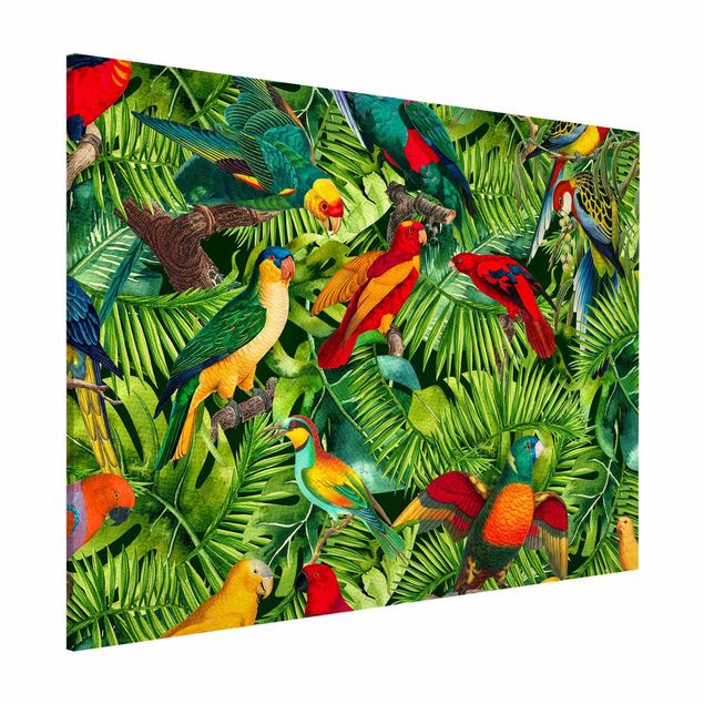 decoraçao cozinha Colourful Collage - Parrots In The Jungle