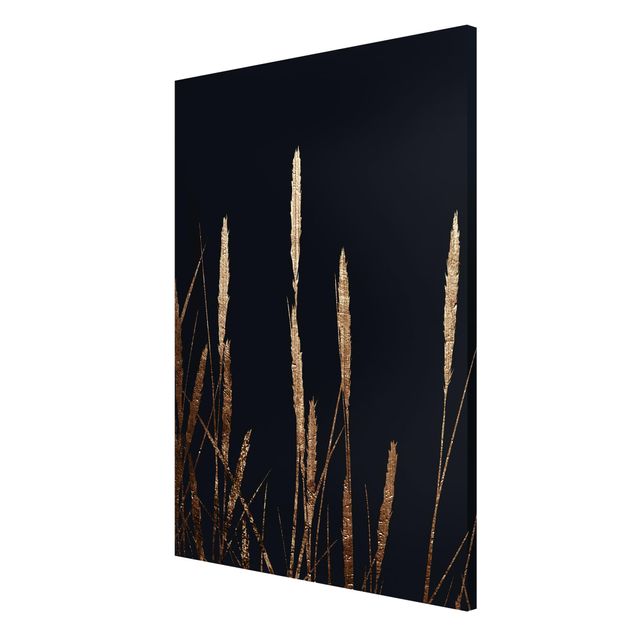 Quadros magnéticos flores Graphical Plant World - Golden Reed