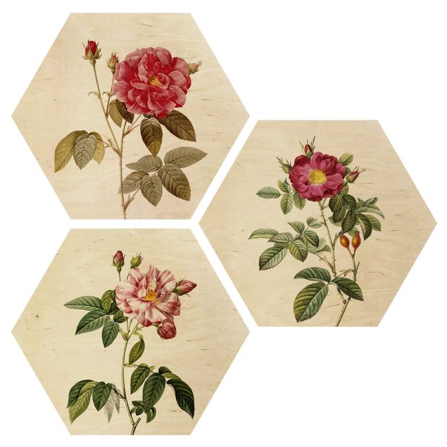 Quadros em madeira vintage Pierre Joseph Redouté - Roses