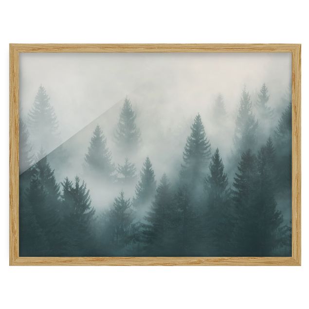 Quadros com moldura paisagens Coniferous Forest In Fog