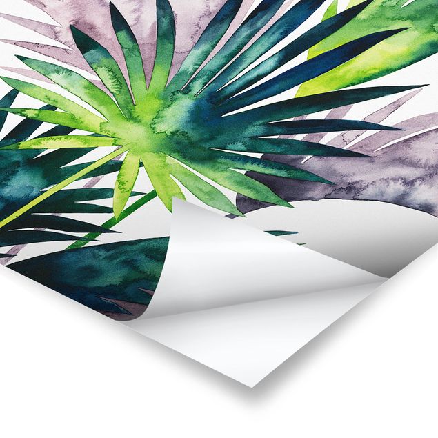 Quadros decorativos Exotic Foliage - Fan Palm