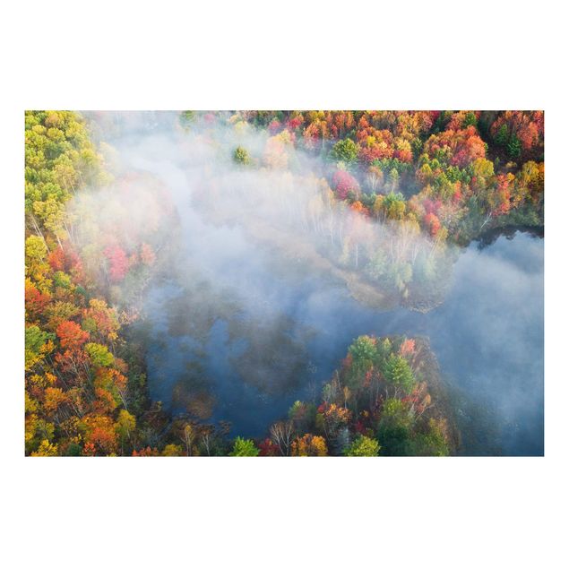 quadro com árvore Aerial View - Autumn Symphony