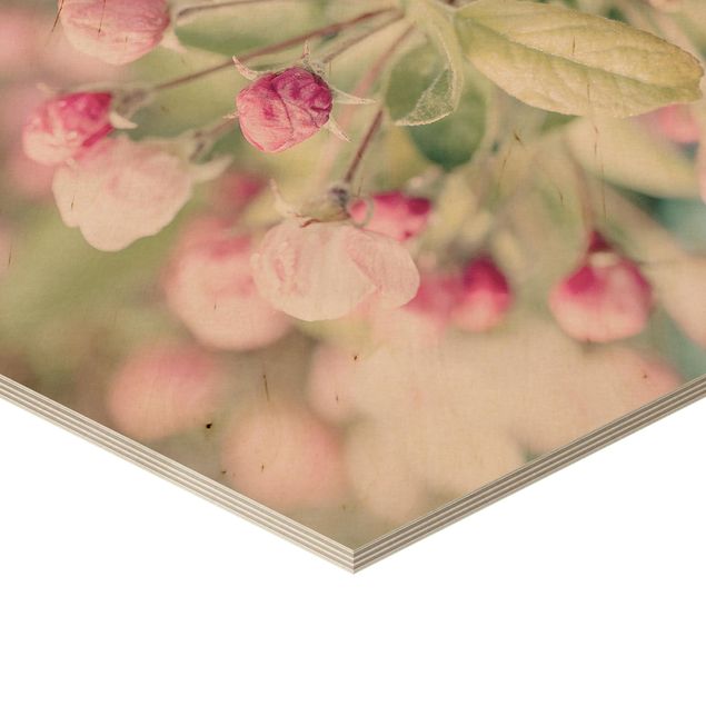 Quadros em madeira Apple Blossom Pink Bokeh
