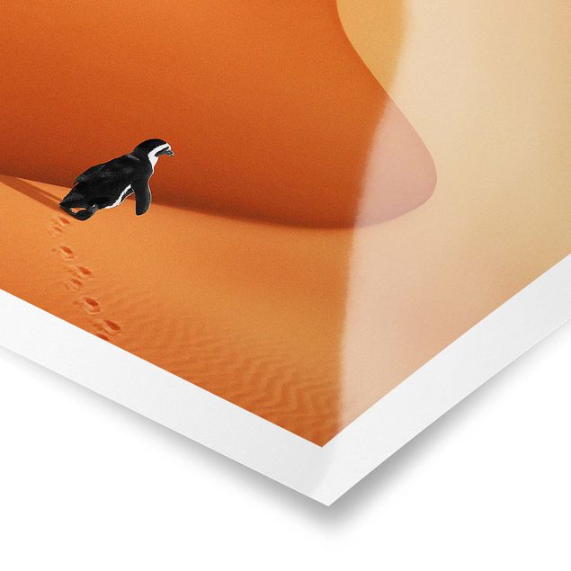 Quadros em laranja Desert With Penguin