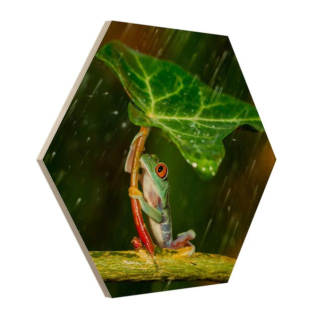 Quadros em madeira Frog In The Rain