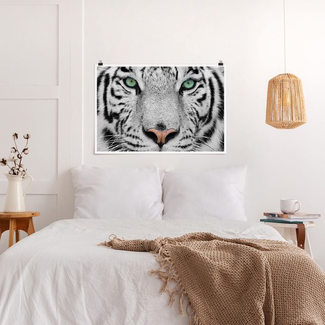 Posters em preto e branco White Tiger