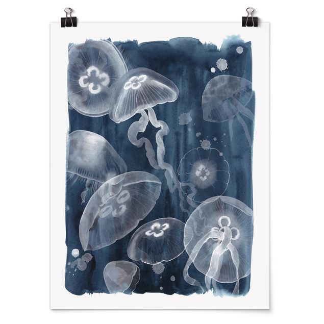 Quadros animais Moon Jellyfish I