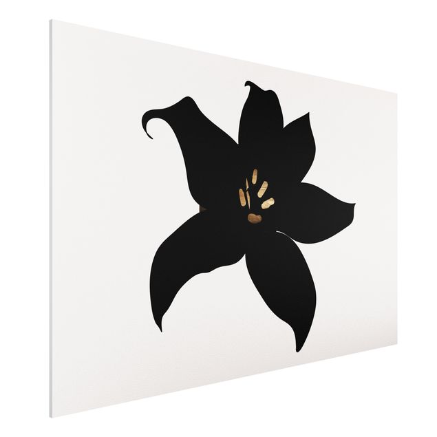 Quadros orquídeas Graphical Plant World - Orchid Black And Gold