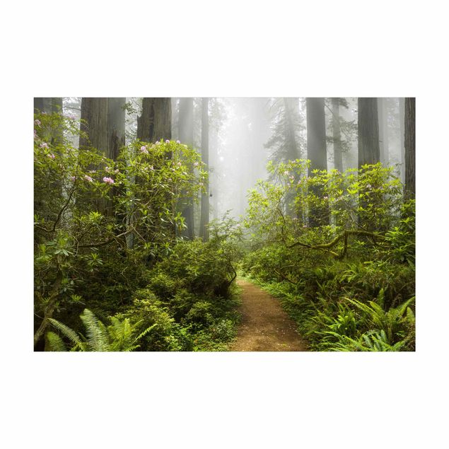 Tapetes verdes Misty Forest Path