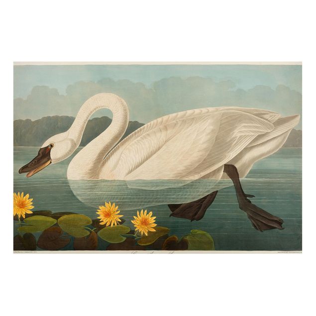 Quadros magnéticos flores Vintage Board American Swan