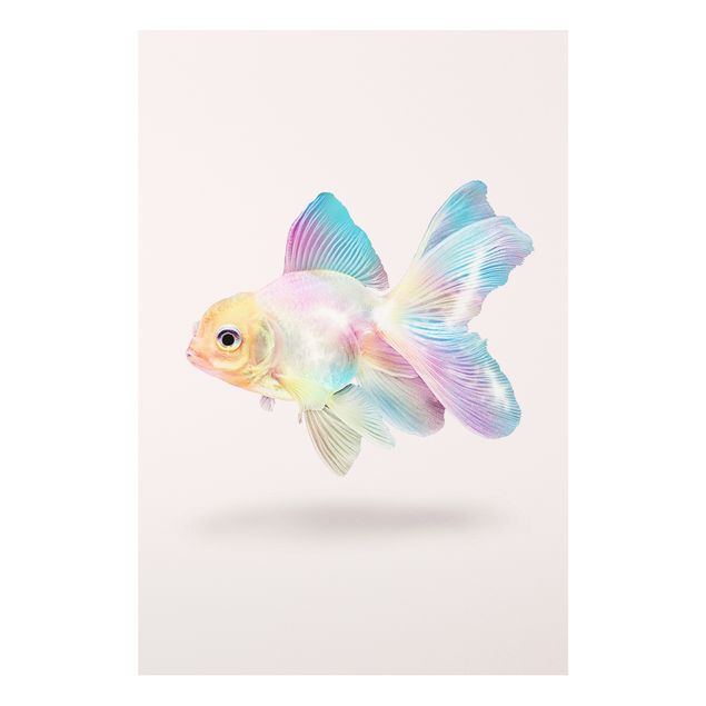 Quadros peixes Fish In Pastel