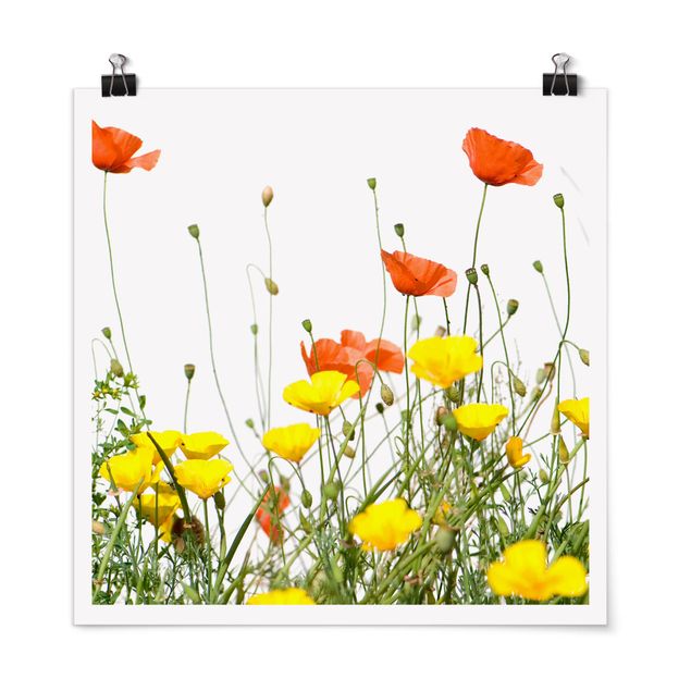 Posters flores Wild Flowers