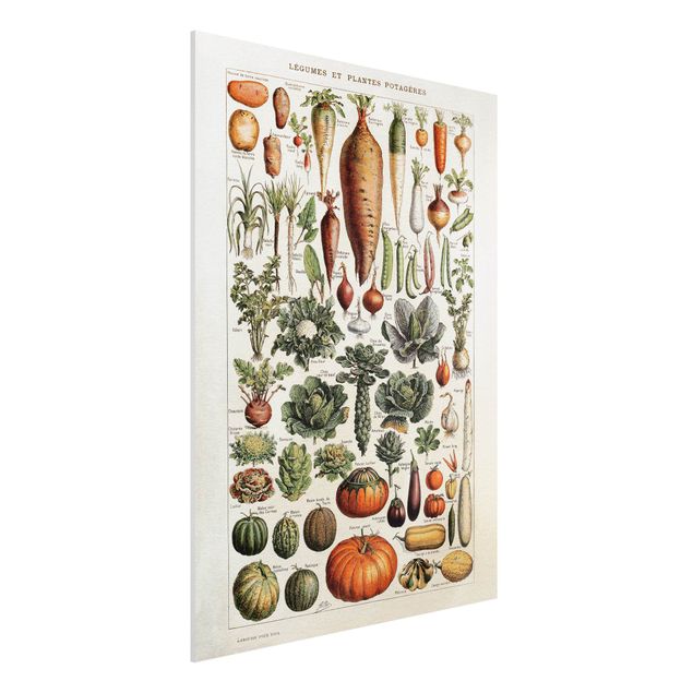 decoraçao para parede de cozinha Vintage Board Vegetables