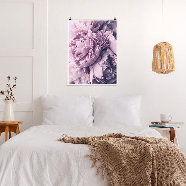 Posters flores Purple Peony Blossoms