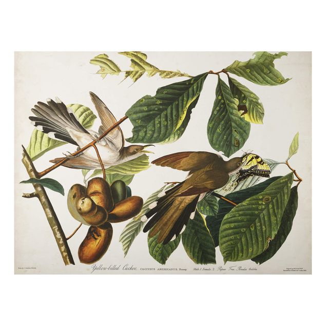 Quadros florais Vintage Board Cuckoo II